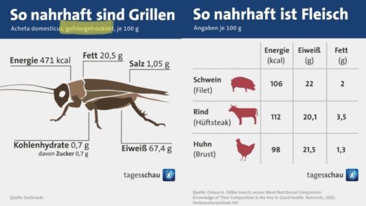 Insekten In Nahrungsmitteln - Der Nächste Tiefpunkt