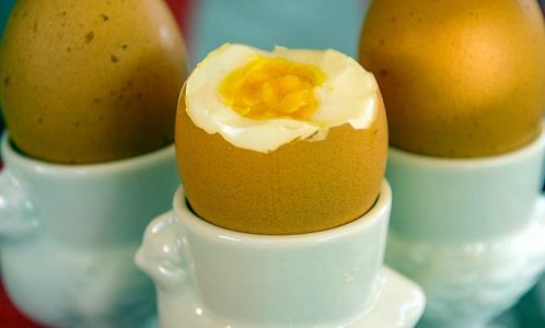 Eier – gesund & nahrhaft