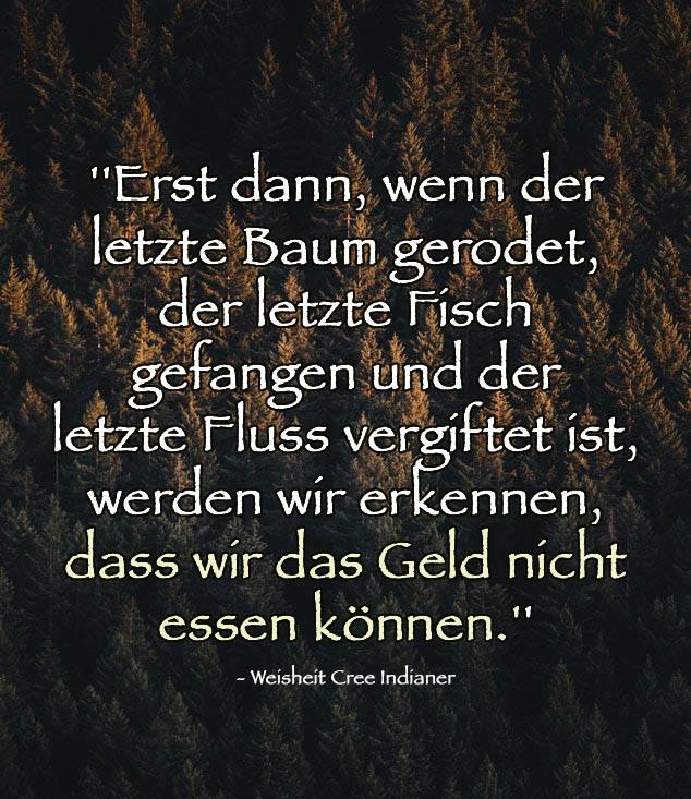 Get Weisheiten essen HD